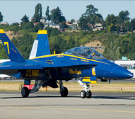 Help Get a Blue Angel @ The DSC